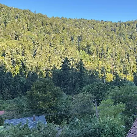 L Annexe * Mittlach